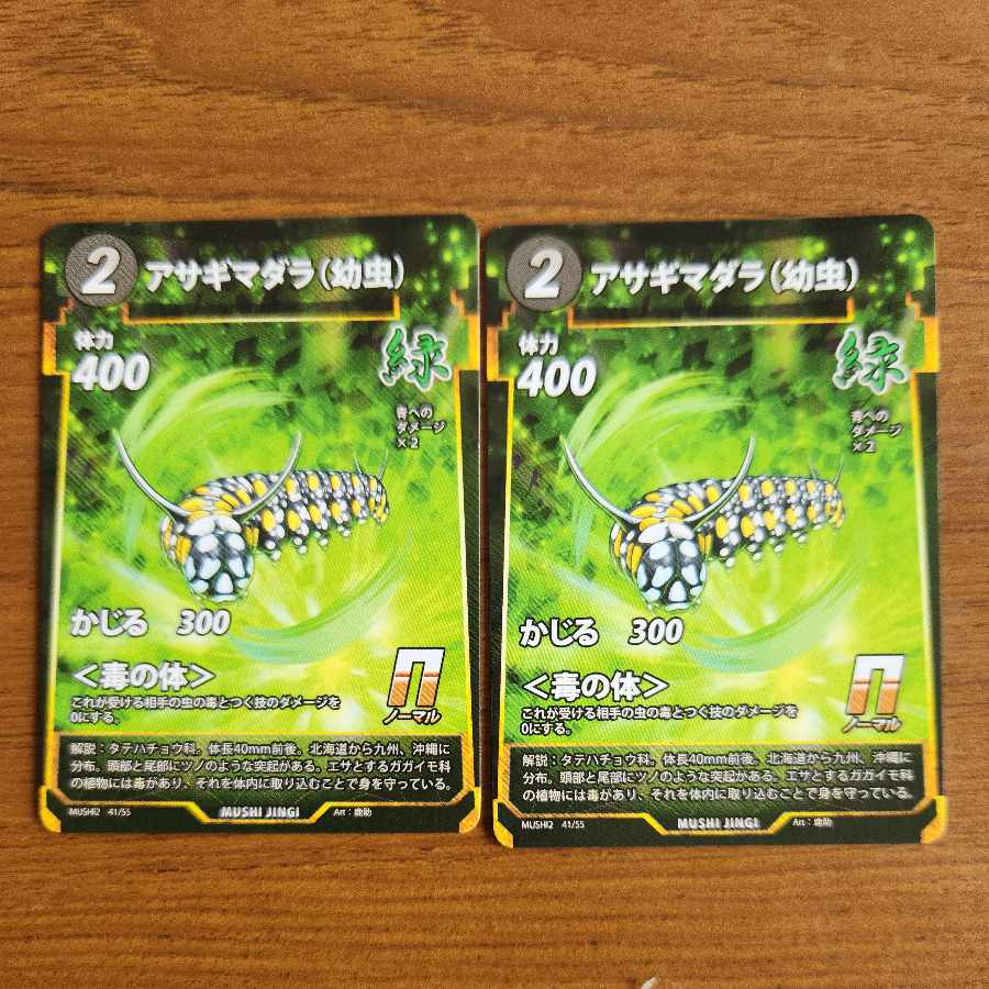 N アサギマダラ(幼虫)