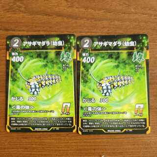 N アサギマダラ(幼虫)