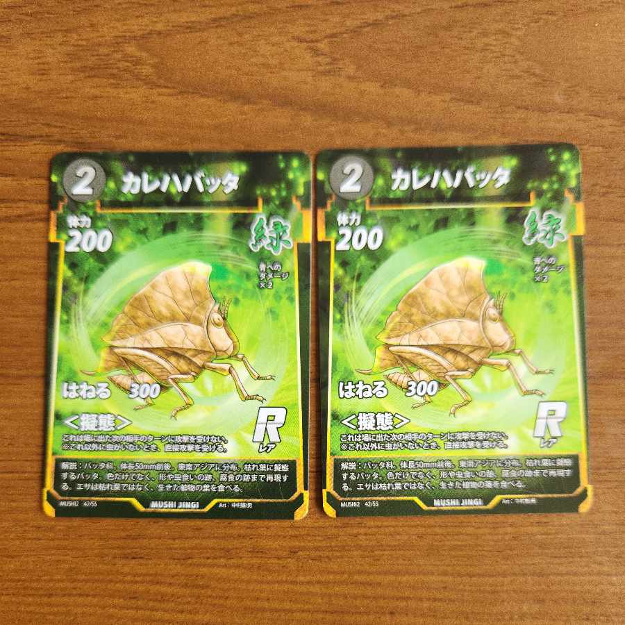 R カレハバッタ