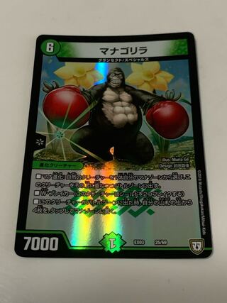 マナゴリラ 25/69