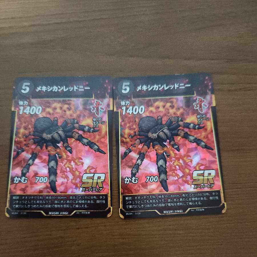 SR メキシカンレッドニー