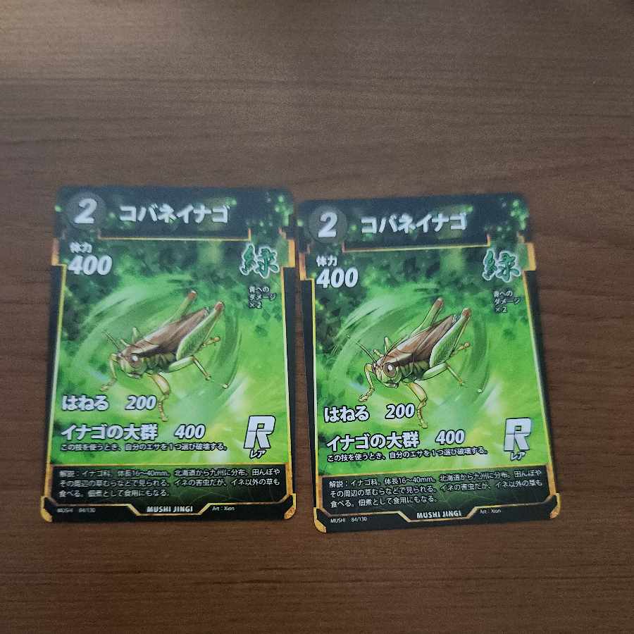 R コバネイナゴ