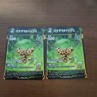 N ゴマダラオトシブミ