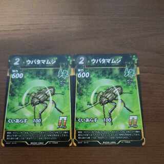 N ウバタマムシ