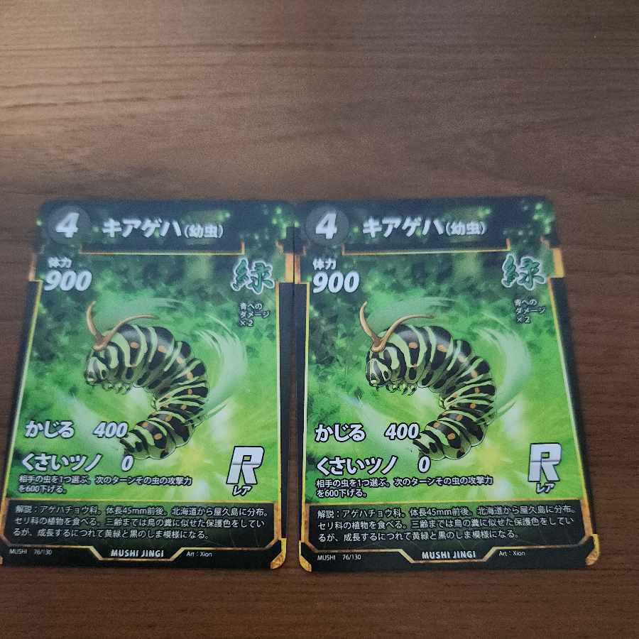 R キアゲハ(幼虫)