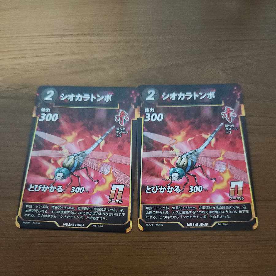 N シオカラトンボ