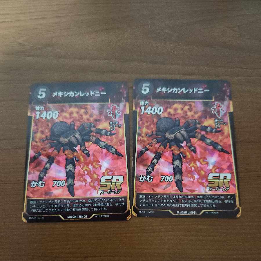 SR メキシカンレッドニー