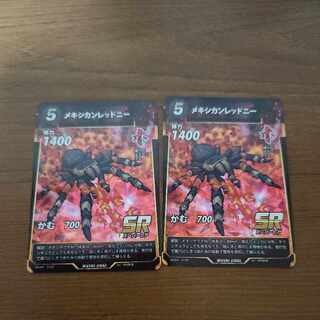 SR メキシカンレッドニー