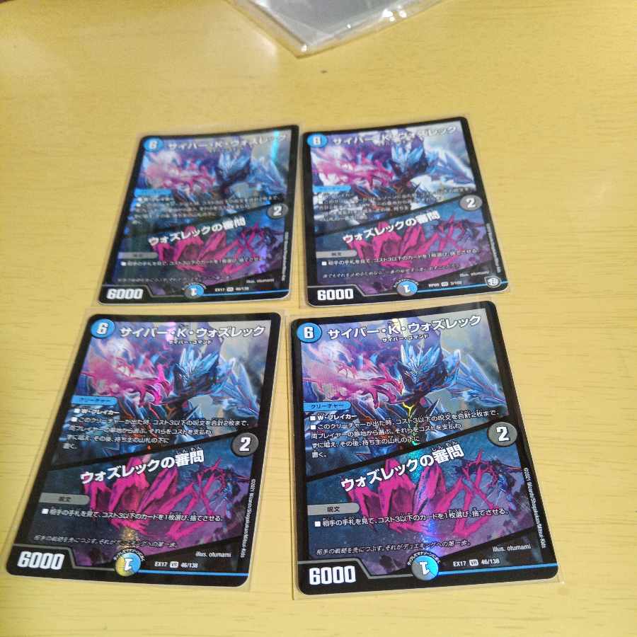 Cyber K. Wozrek|The Wozrek Inquiry VR 46/138