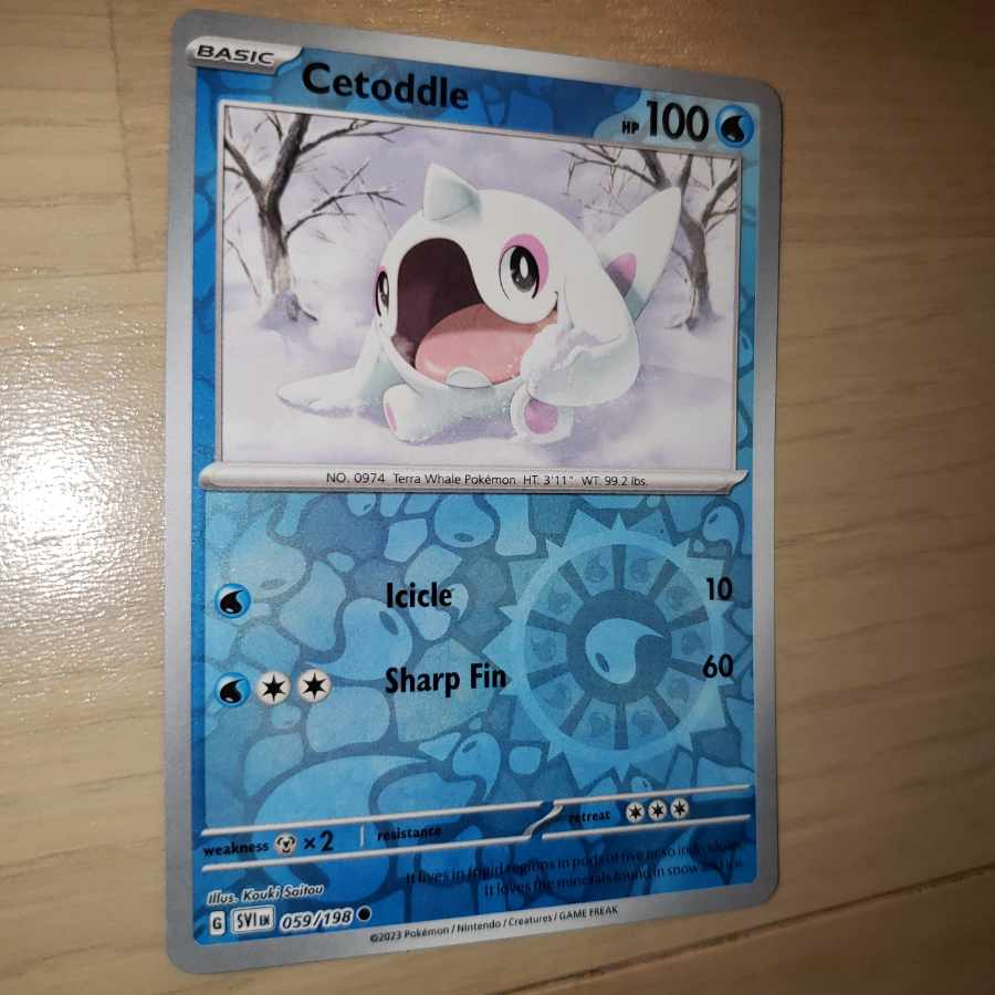 English Alcujira Livahoro Saito Kouki