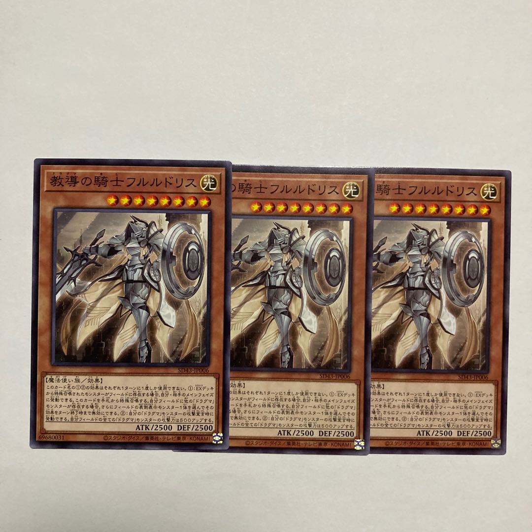 教導の騎士フルルドリス ノーマル