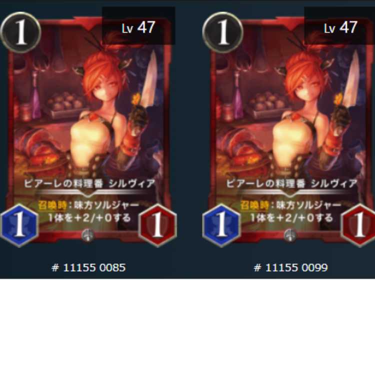 ピアーレの料理番 シルヴィア2枚