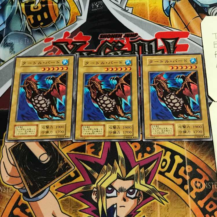 Turtle Bird 3 Early Normal Set of 3 Tera