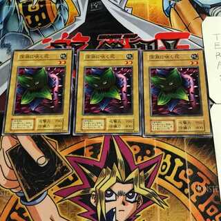 深淵に咲く花 3 初期 ノーマル 3枚セット てら