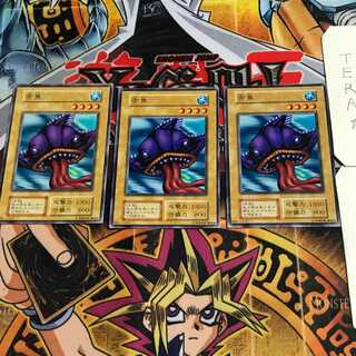 舌魚 6 初期 ノーマル 3枚セット てら