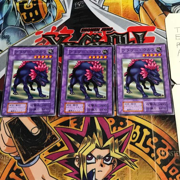 Flower Wolf 4 Early Normal Set of 3 Tera