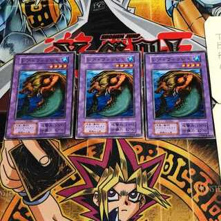 レア・フィッシュ 6 初期 ノーマル 3枚セット てら