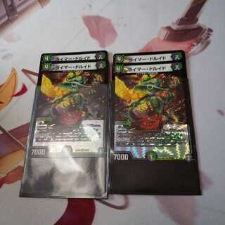 ライマードルイド