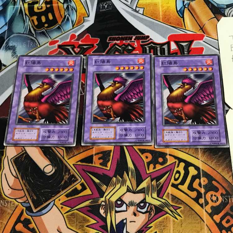 紅陽鳥 5 初期 ノーマル 3枚セット てら