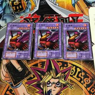 紅陽鳥 5 初期 ノーマル 3枚セット てら