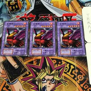 紅陽鳥 6 初期 ノーマル 3枚セット てら