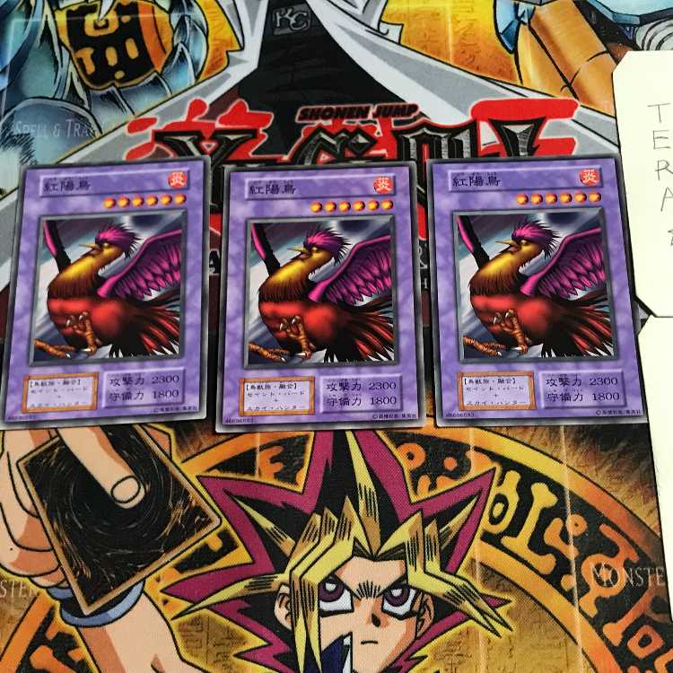 紅陽鳥 7 初期 ノーマル 3枚セット てら