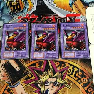 紅陽鳥 7 初期 ノーマル 3枚セット てら