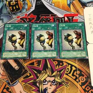 Despoil 2nd period ver 6 normal, set of 3 Tera