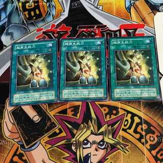 超再生能力 2期ver 5 ノーマル 3枚セット てら