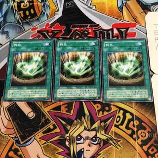 孵化 2期ver 6 ノーマル 3枚セット てら