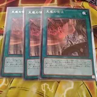 天底の使徒、天幻の龍輪、各３枚