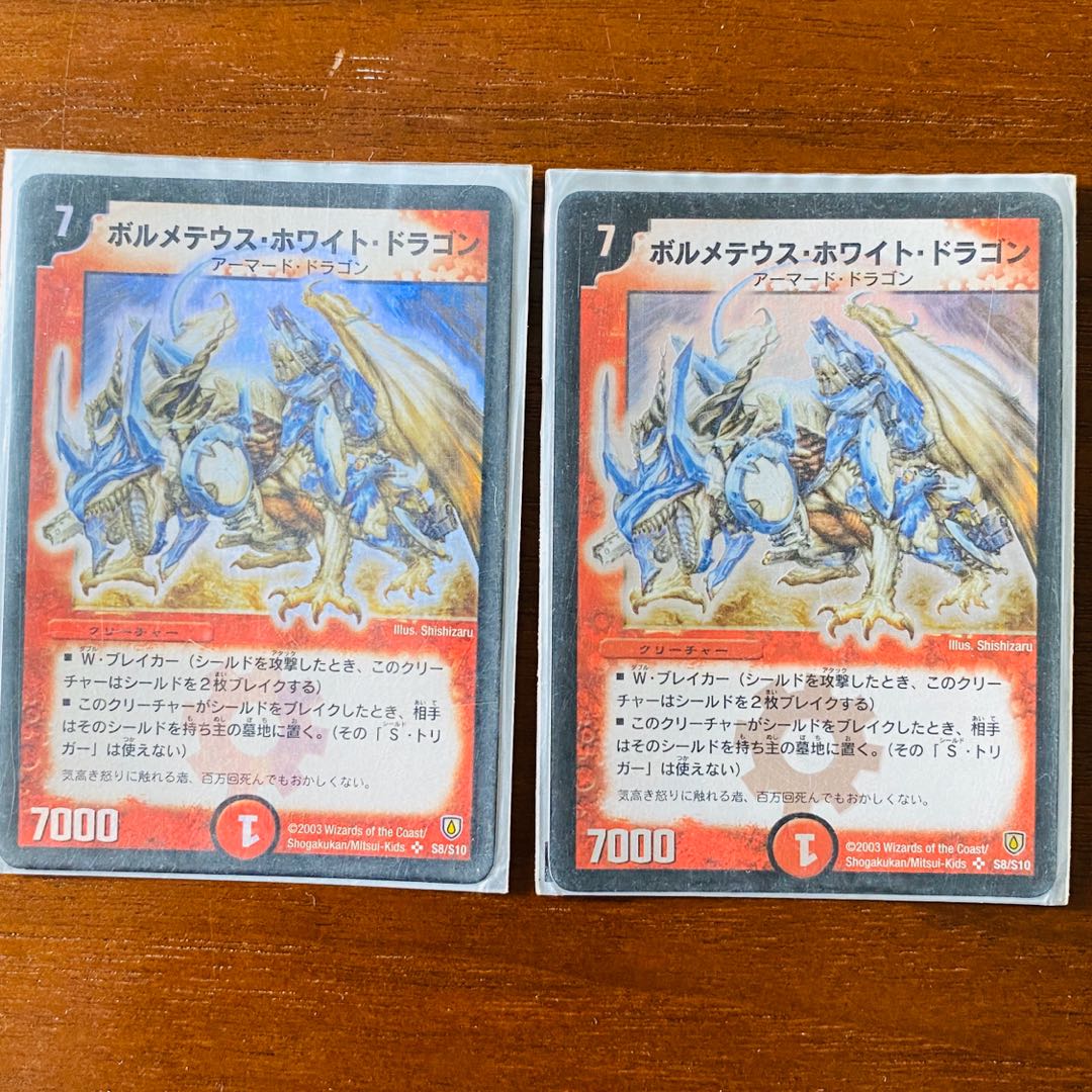 翌日発送様専用