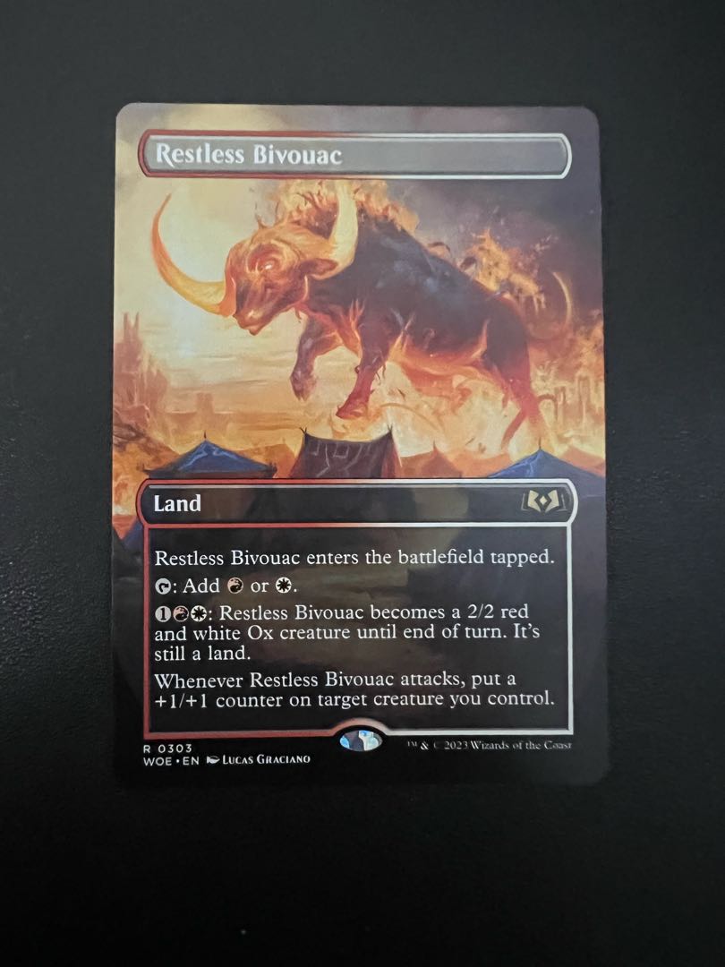 303 ボーダーレス 眠らずの露営 / Restless Bivouac WOE