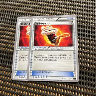 Fighting Fury Belt 015/020