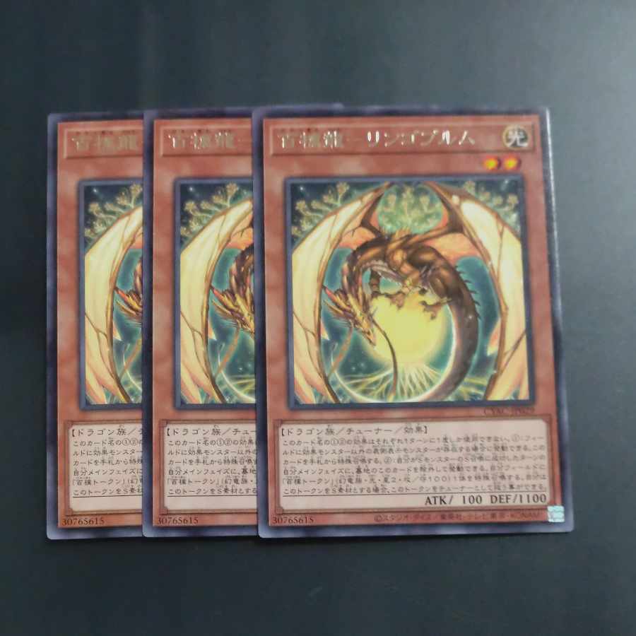 百檎龍-リンゴブルム レア JP029✕3 【木林堂】