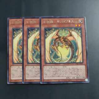 百檎龍-リンゴブルム レア JP029✕３　【木林堂】