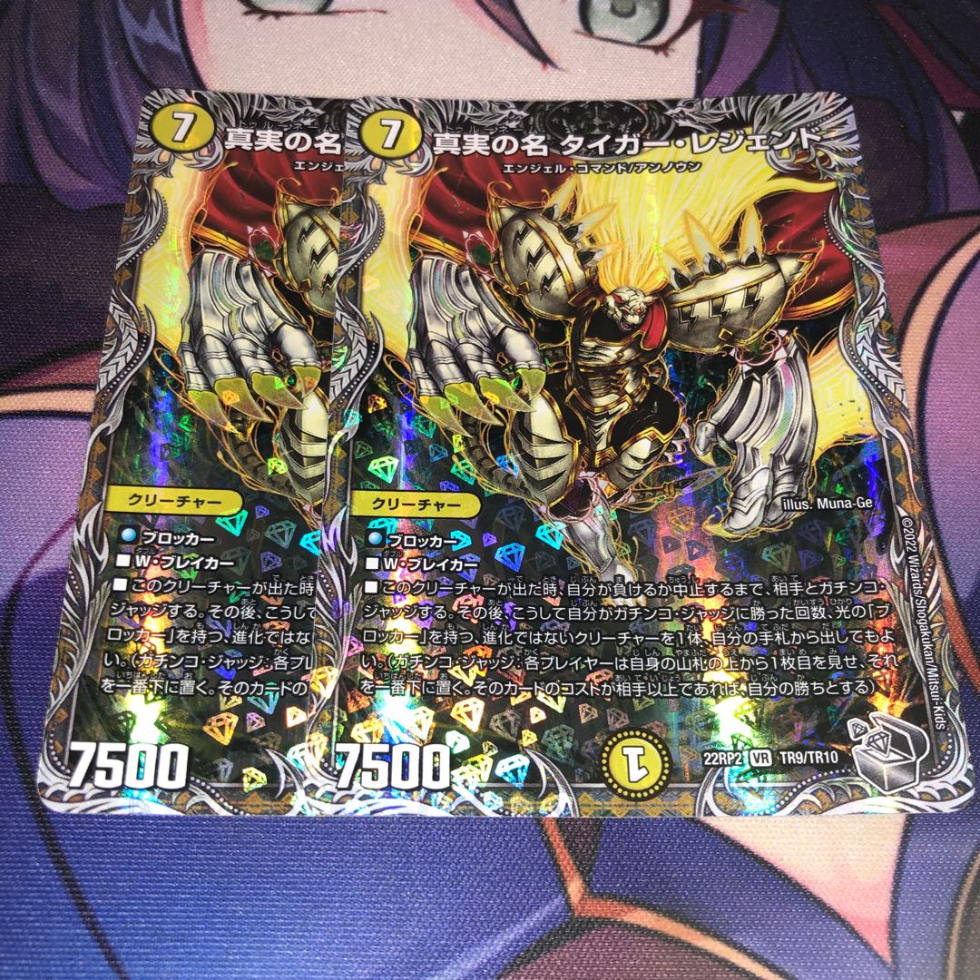 The True Name Tiger Legend (Silver Treasure) VR TR9/TR10