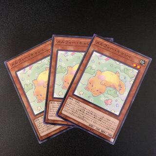 【N】メルフィー・キャシィ【ノーマル】