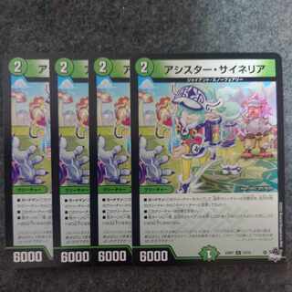 アシスター・サイネリア C 73/74