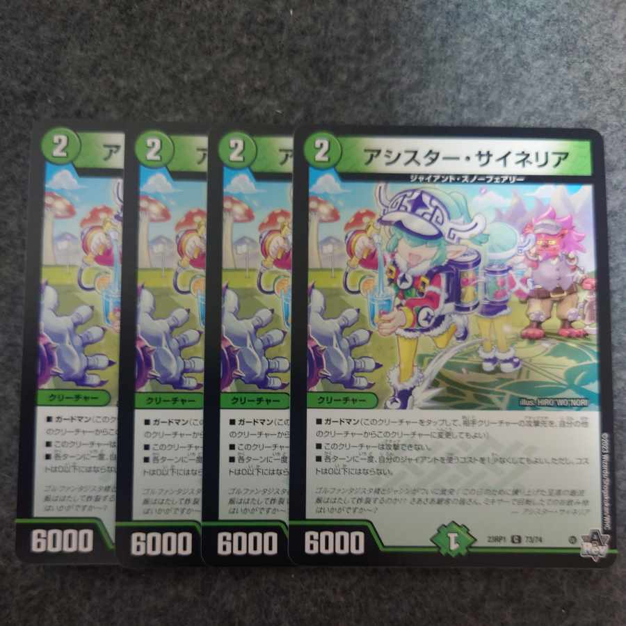 アシスター・サイネリア C 73/74