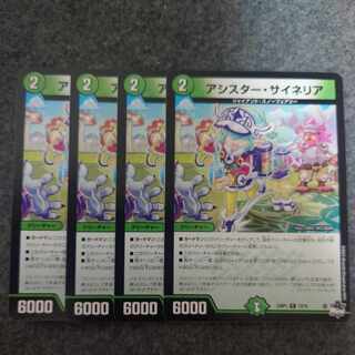 アシスター・サイネリア C 73/74