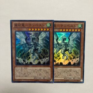 Storm Conquering Dragon - Tempest Super Rare JP041