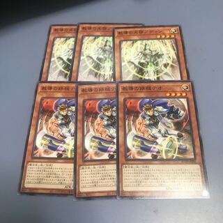 教導の天啓アディン、鉄槌テオ　各３枚