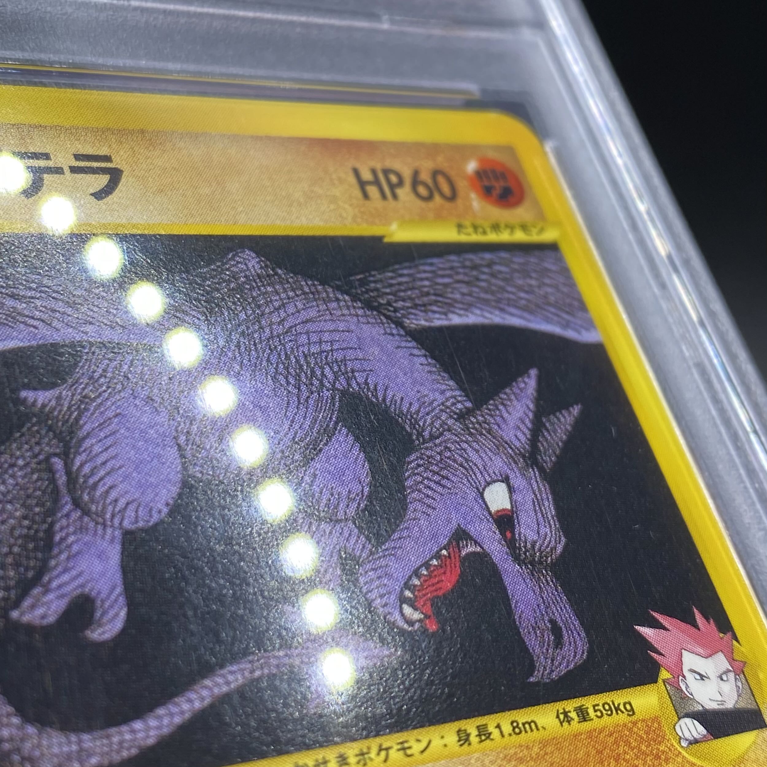 PSA10 ワタルのプテラLANCE'S AERODACTYL ポケカ