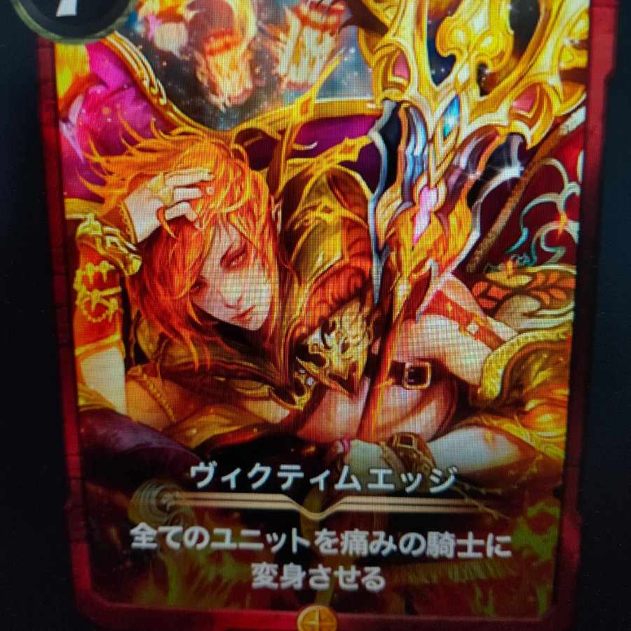 2枚組 ヴィクティムエッジ