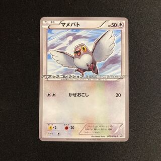 i222 Pidove Promo Black Collection HoWight Collection Pokémon Treasurer