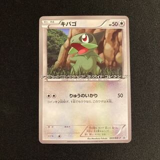 i223 Axew Promo Black Collection HoWight Collection Pokémon Treasurer