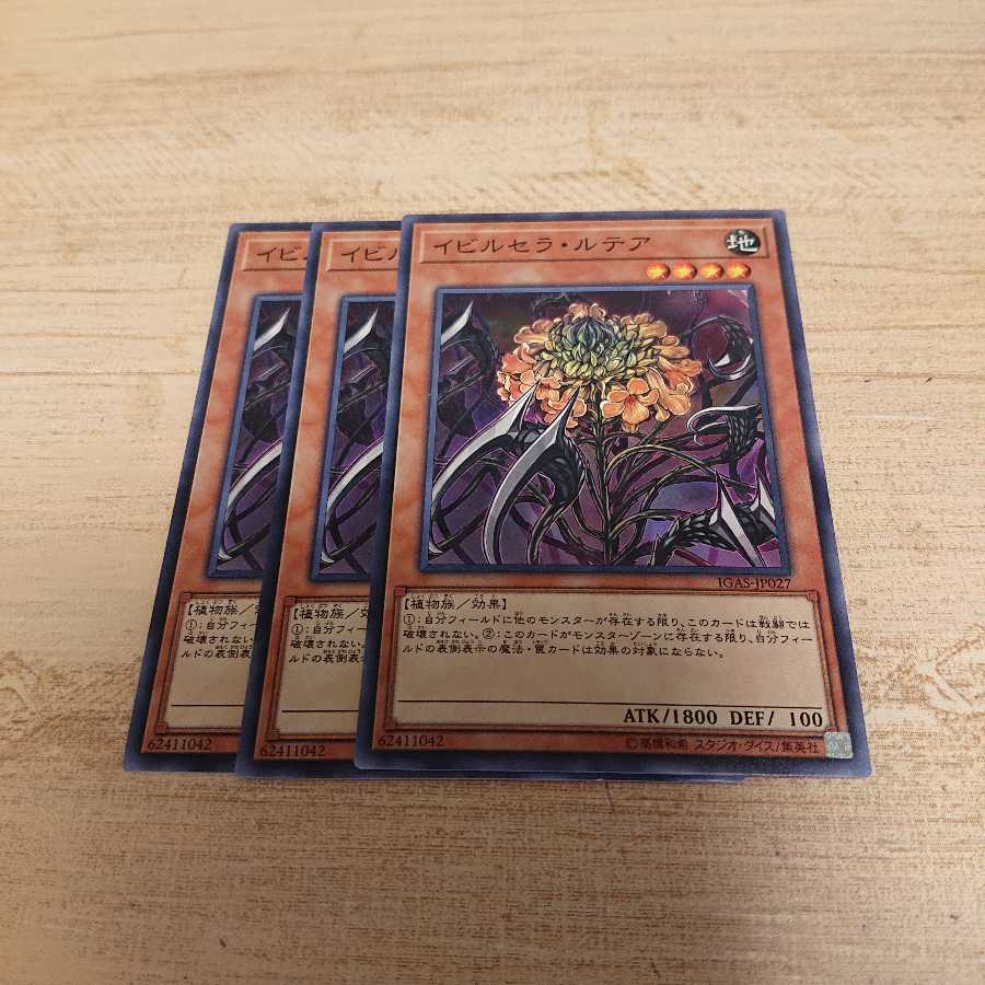 イビルセラルセラ 1枚