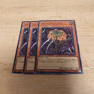 イビルセラルセラ 1枚