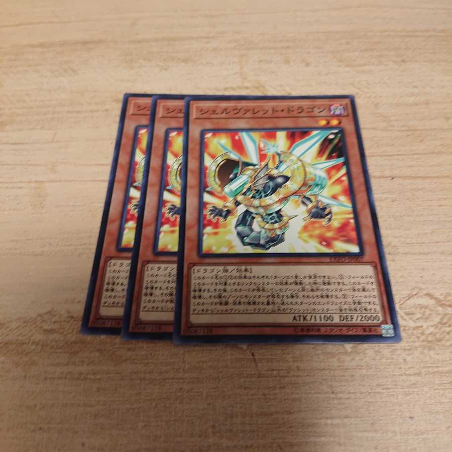 シェルヴァレットドラゴン